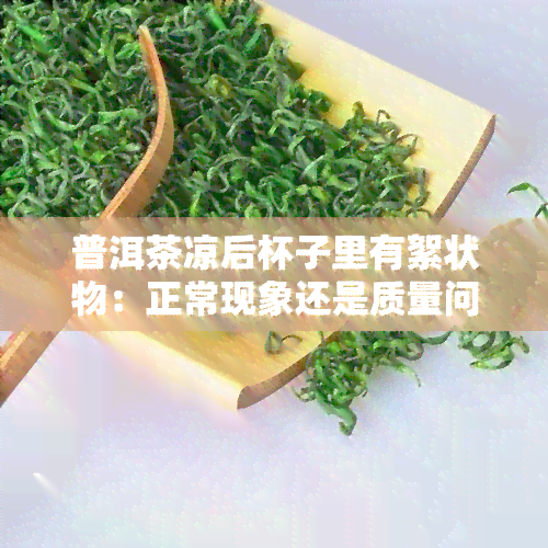 普洱茶凉后杯子里有絮状物：正常现象还是质量问题？