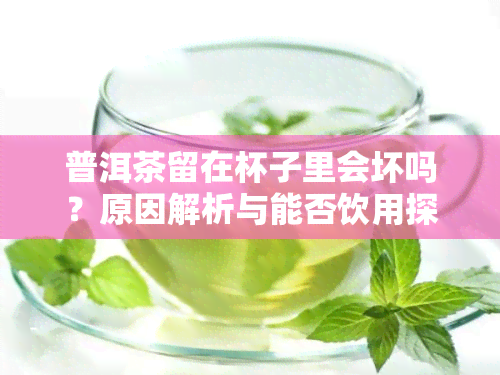 普洱茶留在杯子里会坏吗？原因解析与能否饮用探讨