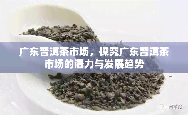 广东普洱茶市场，探究广东普洱茶市场的潜力与发展趋势