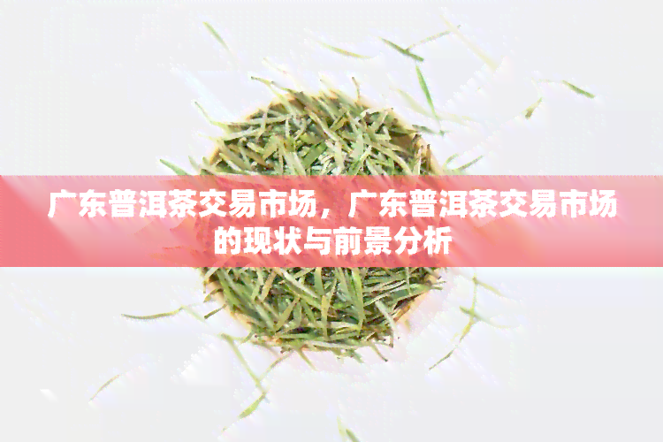 广东普洱茶交易市场，广东普洱茶交易市场的现状与前景分析