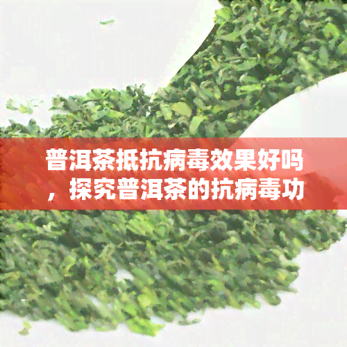 普洱茶抵抗病效果好吗，探究普洱茶的抗病功效：真相大揭秘