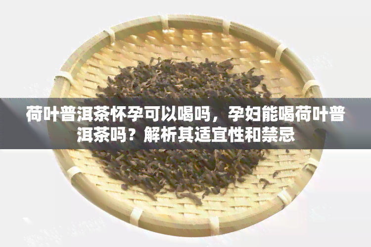 荷叶普洱茶怀孕可以喝吗，孕妇能喝荷叶普洱茶吗？解析其适宜性和禁忌