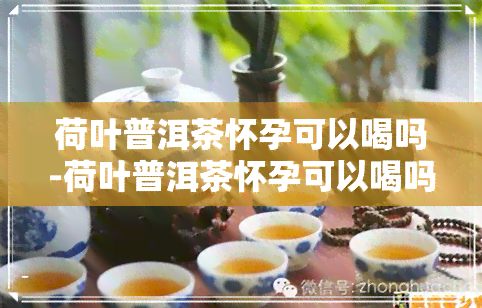 荷叶普洱茶怀孕可以喝吗-荷叶普洱茶怀孕可以喝吗有影响吗