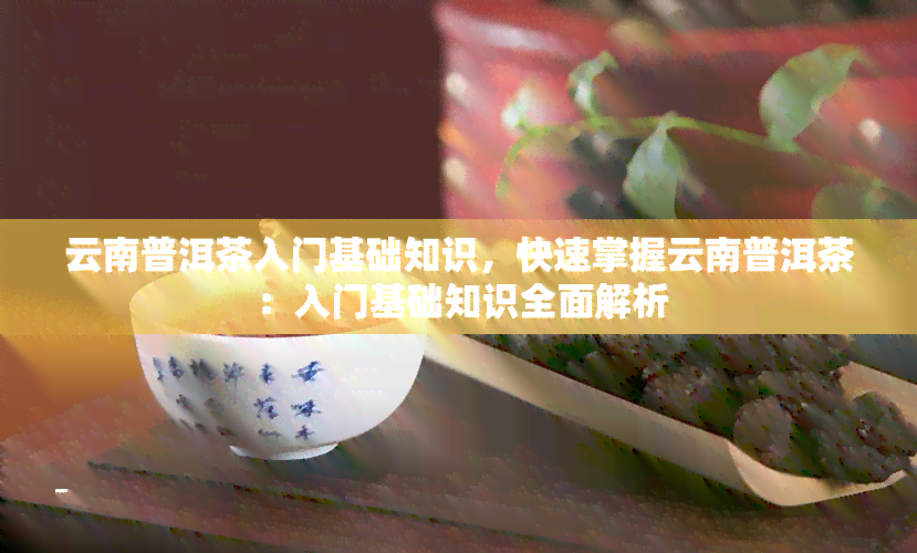 云南普洱茶入门基础知识，快速掌握云南普洱茶：入门基础知识全面解析