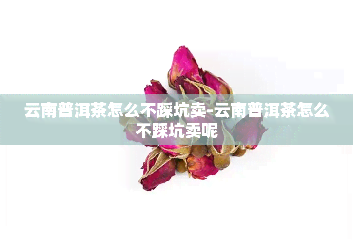 云南普洱茶怎么不踩坑卖-云南普洱茶怎么不踩坑卖呢