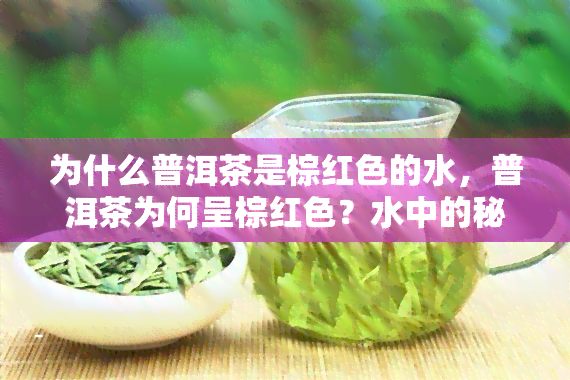 为什么普洱茶是棕红色的水，普洱茶为何呈棕红色？水中的秘密解析