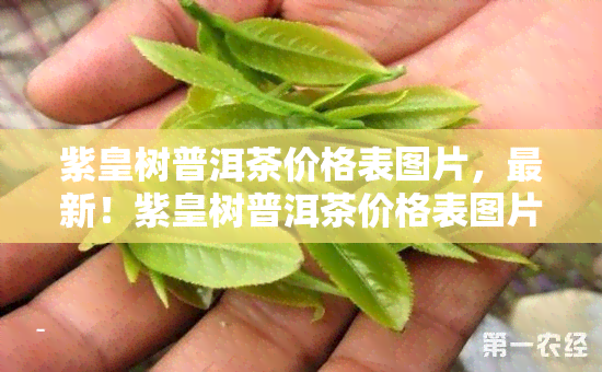 紫皇树普洱茶价格表图片，最新！紫皇树普洱茶价格表图片全览