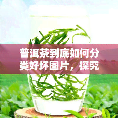 普洱茶到底如何分类好坏图片，探究普洱茶的品质分类：从外观到口感，一图看懂选购指南