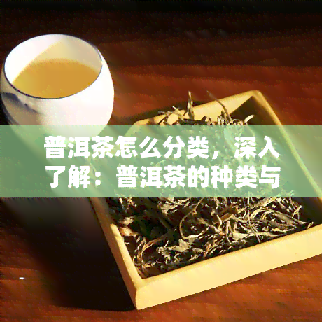 普洱茶怎么分类，深入了解：普洱茶的种类与分类方法