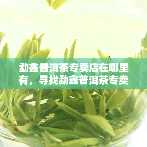 勐鑫普洱茶专卖店在哪里有，寻找勐鑫普洱茶专卖店？这里告诉你在哪里可以找到！