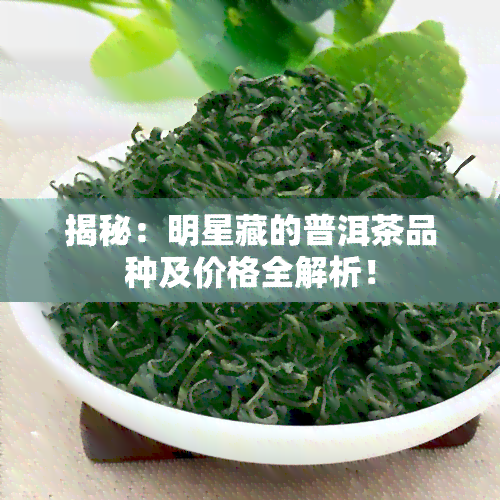 揭秘：明星藏的普洱茶品种及价格全解析！