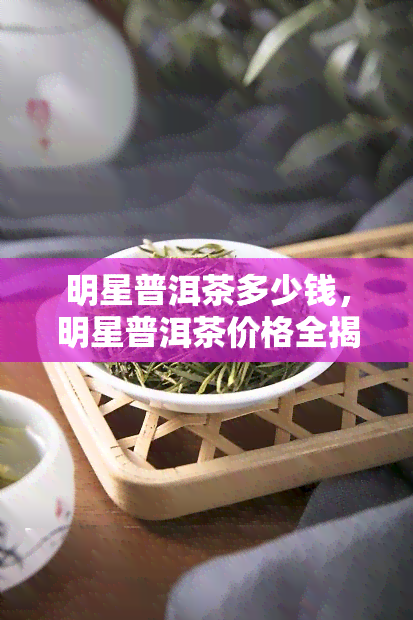 明星普洱茶多少钱，明星普洱茶价格全揭秘，你想知道的都在这里！