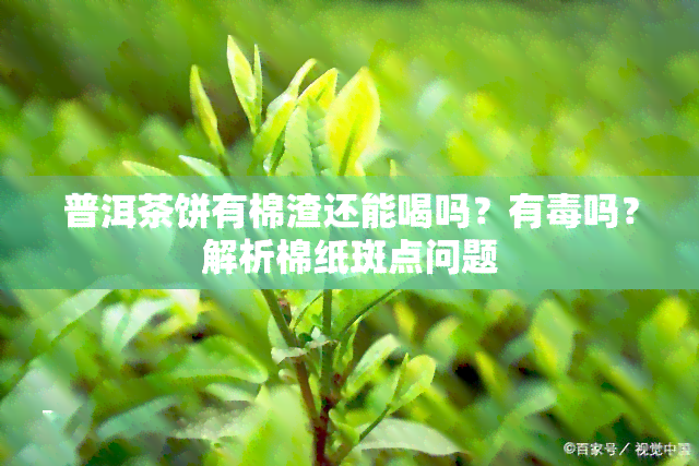 普洱茶饼有棉渣还能喝吗？有吗？解析棉纸斑点问题