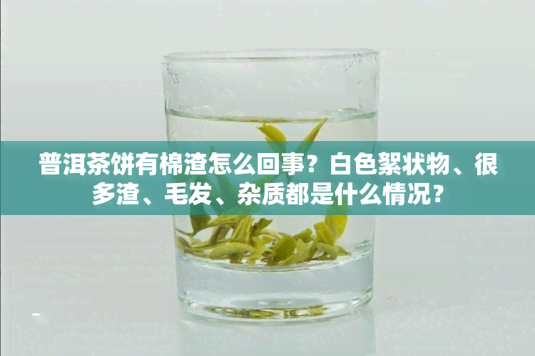 普洱茶饼有棉渣怎么回事？白色絮状物、很多渣、毛发、杂质都是什么情况？