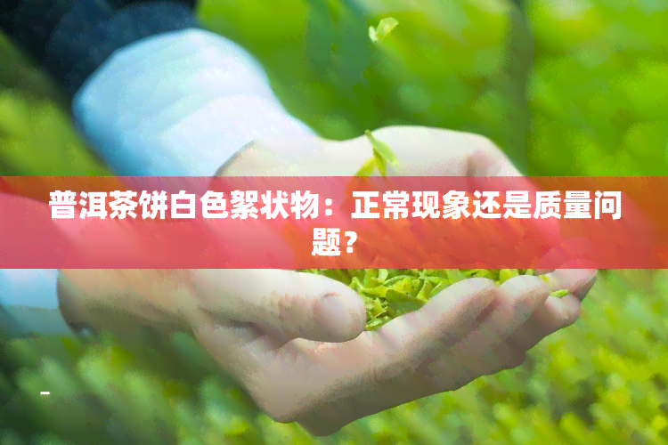 普洱茶饼白色絮状物：正常现象还是质量问题？