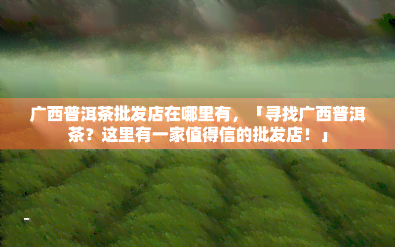 广西普洱茶批发店在哪里有，「寻找广西普洱茶？这里有一家值得信的批发店！」