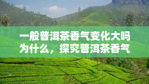 一般普洱茶香气变化大吗为什么，探究普洱茶香气变化的原因：一般普洱茶香气变化大吗？