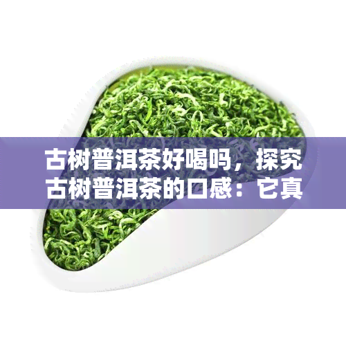 古树普洱茶好喝吗，探究古树普洱茶的口感：它真的好喝吗？