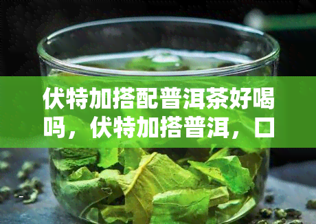 伏特加搭配普洱茶好喝吗，伏特加搭普洱，口感妙不可言！