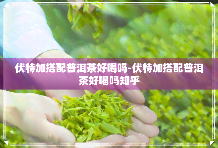 伏特加搭配普洱茶好喝吗-伏特加搭配普洱茶好喝吗知乎