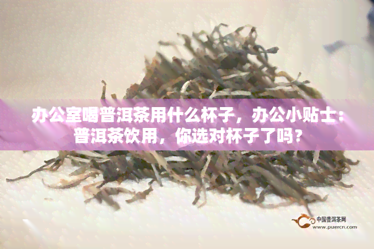 喝普洱茶用什么杯子，办公小贴士：普洱茶饮用，你选对杯子了吗？