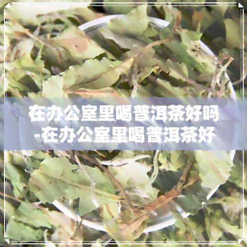 在里喝普洱茶好吗-在里喝普洱茶好吗女生