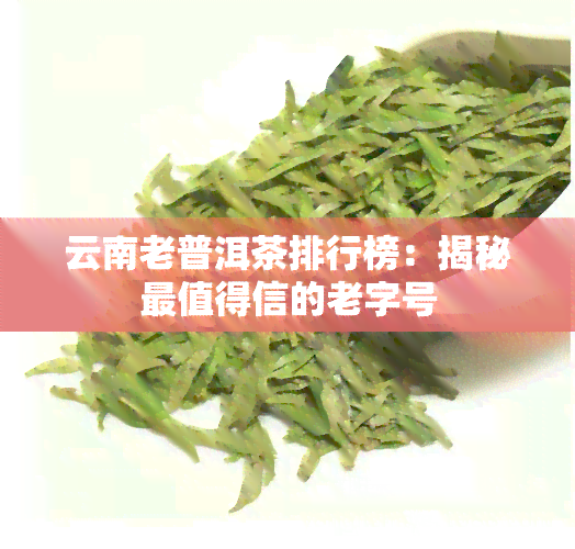 云南老普洱茶排行榜：揭秘最值得信的老字号