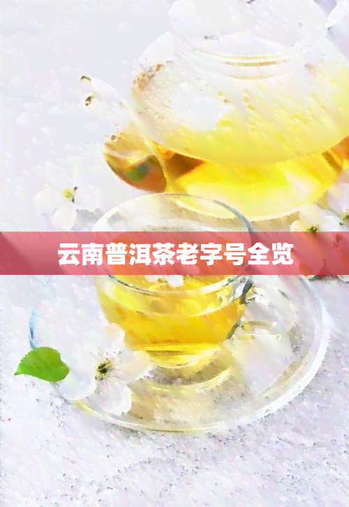 云南普洱茶老字号全览