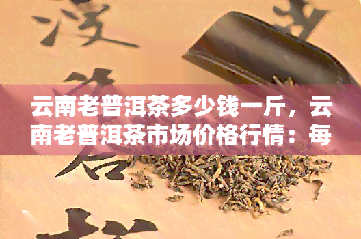 云南老普洱茶多少钱一斤，云南老普洱茶市场价格行情：每斤价格多少？