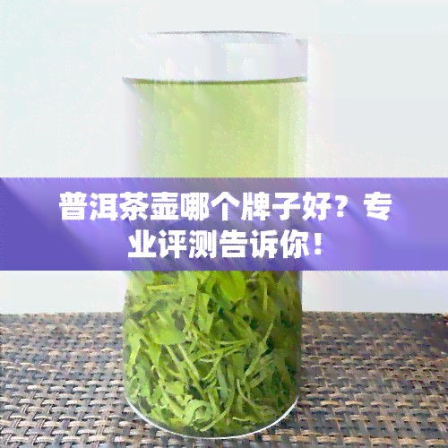 普洱茶壶哪个牌子好？专业评测告诉你！