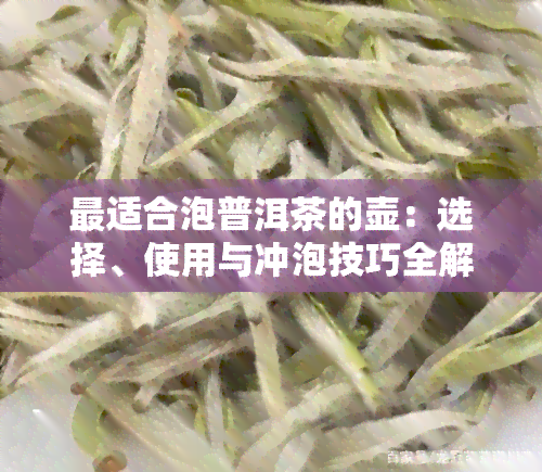 最适合泡普洱茶的壶：选择、使用与冲泡技巧全解析