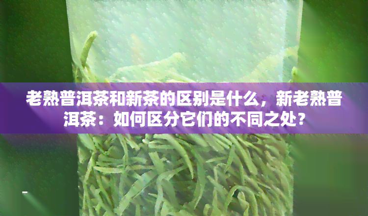 老熟普洱茶和新茶的区别是什么，新老熟普洱茶：如何区分它们的不同之处？