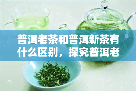 普洱老茶和普洱新茶有什么区别，探究普洱老茶与新茶的差异：口感、香气与收藏价值对比