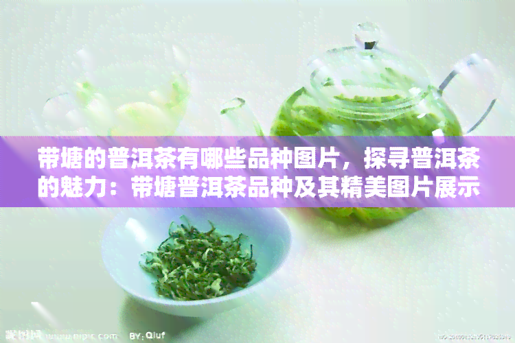 带塘的普洱茶有哪些品种图片，探寻普洱茶的魅力：带塘普洱茶品种及其精美图片展示