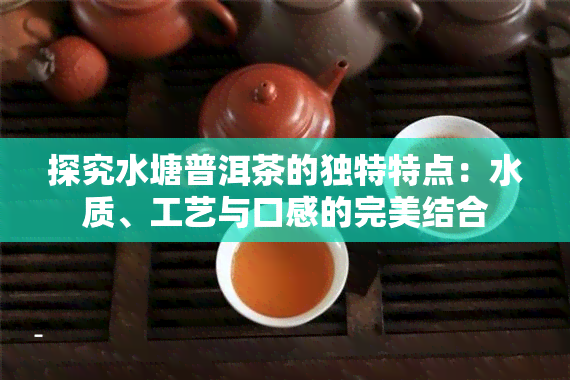 探究水塘普洱茶的独特特点：水质、工艺与口感的完美结合