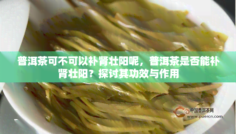 普洱茶可不可以补肾壮阳呢，普洱茶是否能补肾壮阳？探讨其功效与作用