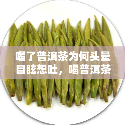 喝了普洱茶为何头晕目眩想吐，喝普洱茶后出现头晕、目眩和恶心症状的原因解析