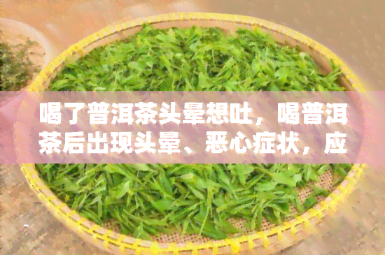 喝了普洱茶头晕想吐，喝普洱茶后出现头晕、恶心症状，应该怎么办？