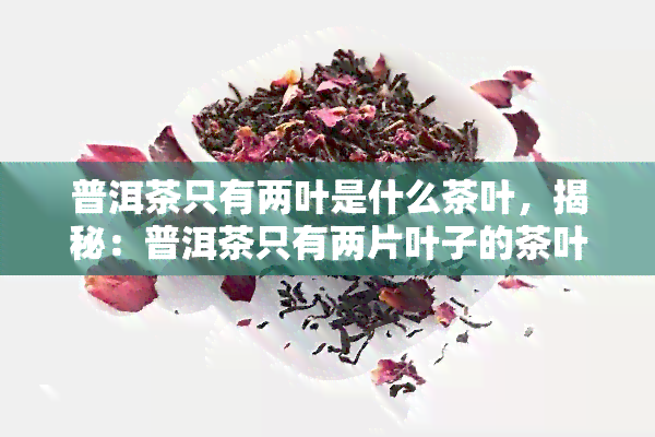 普洱茶只有两叶是什么茶叶，揭秘：普洱茶只有两片叶子的茶叶品种是什么？