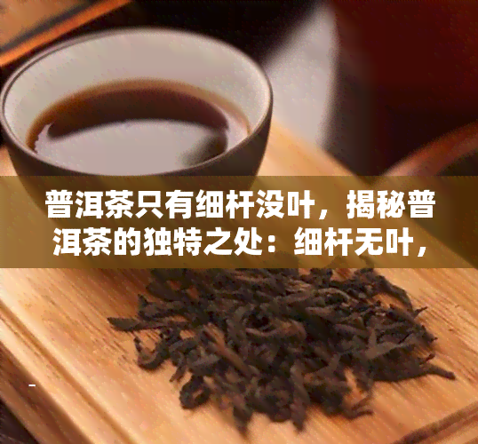 普洱茶只有细杆没叶，揭秘普洱茶的独特之处：细杆无叶，口感醇厚