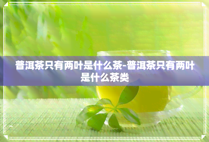 普洱茶只有两叶是什么茶-普洱茶只有两叶是什么茶类