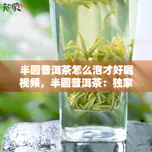 半圆普洱茶怎么泡才好喝视频，半圆普洱茶：独家视频教学，轻松泡出美味好茶！