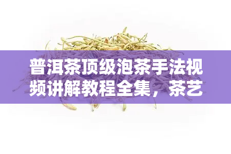 普洱茶顶级泡茶手法视频讲解教程全集，茶艺师教你全程步骤