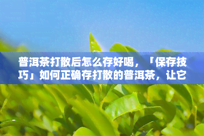 普洱茶打散后怎么存好喝，「保存技巧」如何正确存打散的普洱茶，让它更好喝？