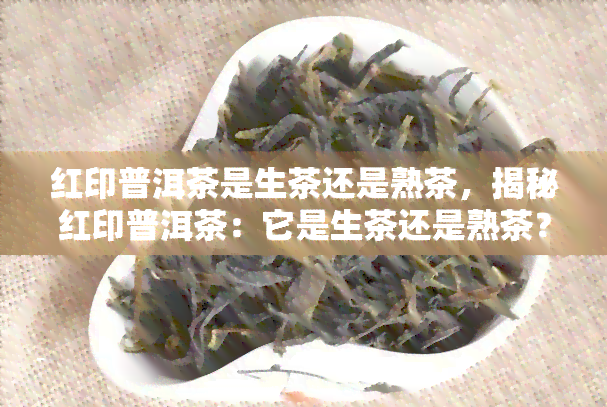 红印普洱茶是生茶还是熟茶，揭秘红印普洱茶：它是生茶还是熟茶？