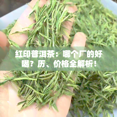 红印普洱茶：哪个厂的好喝？历、价格全解析！