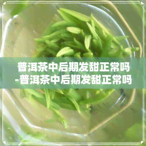 普洱茶中后期发甜正常吗-普洱茶中后期发甜正常吗为什么