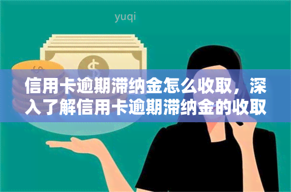 信用卡逾期滞纳金怎么收取，深入了解信用卡逾期滞纳金的收取方式和计算方法