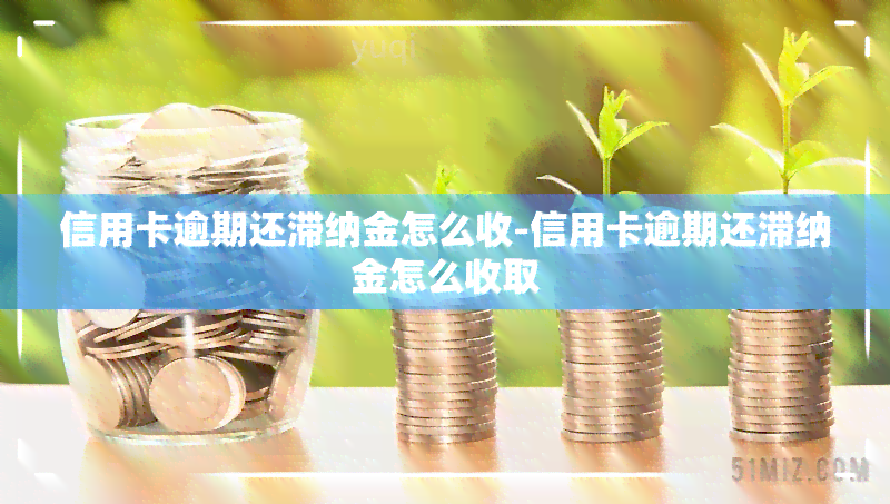 信用卡逾期还滞纳金怎么收-信用卡逾期还滞纳金怎么收取