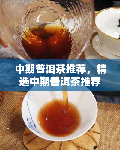 中期普洱茶推荐，精选中期普洱茶推荐，品味岁月沉淀的陈香